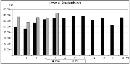 tavuk_eti_uretimi