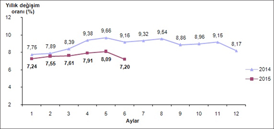 Tüketici fiyat endeksi (2003=100), Haziran 2015