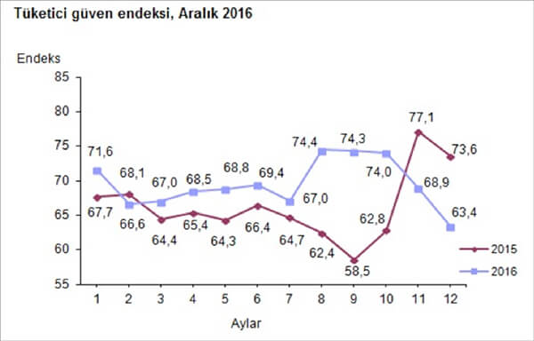 Tüketici Fyat Endeksi Aralık 2016