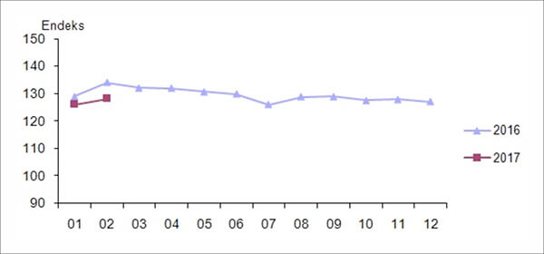 Mevsim ve takvim etkilerinden arındırılmış perakende satış hacim endeksi, Şubat 2017 [2010=100]