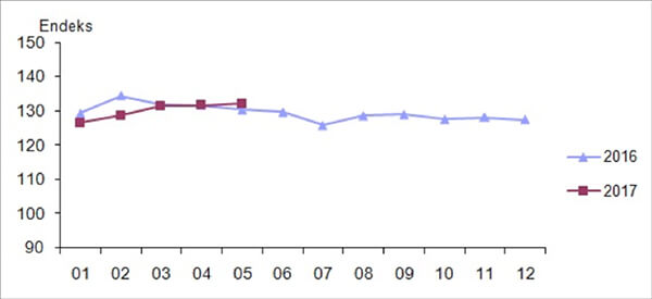 Mevsim ve takvim etkilerinden arındırılmış perakende satış hacim endeksi, Mayıs 2017 [2010=100]