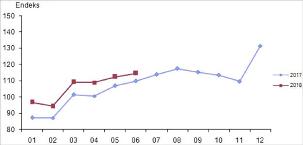 Takvim etkilerinden arındırılmış perakende satış hacim endeksi, Haziran 2018 [2015=100]