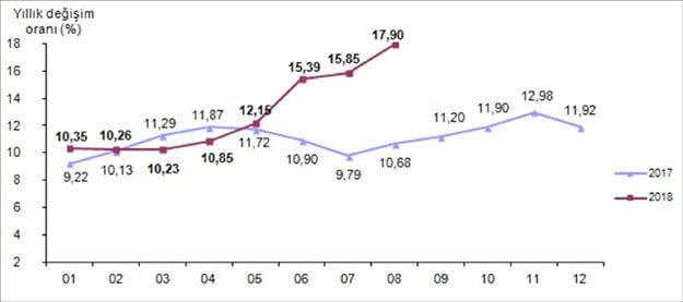 Tüketici fiyat endeksi, Ağustos 2018