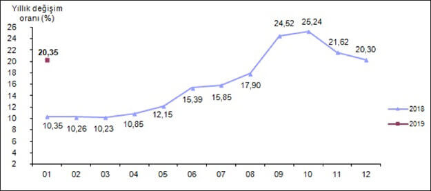 Tüketici fiyat endeksi, Ocak 2019 [2003=100]